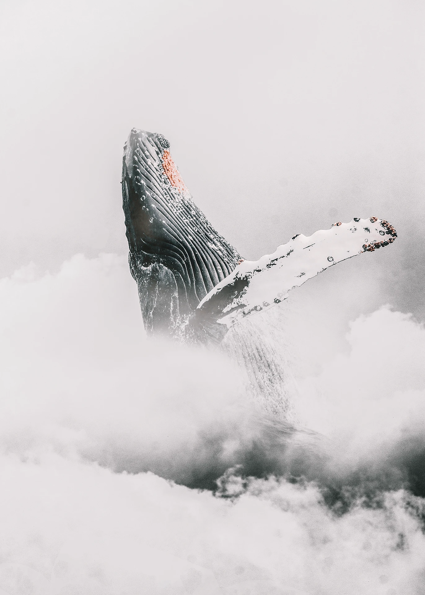 Image that describe section Technology shapes the future. People give it meaning.