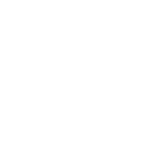 BrainLab Logo